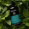 APIVITA Sampon zsíros hajra (250 ml)