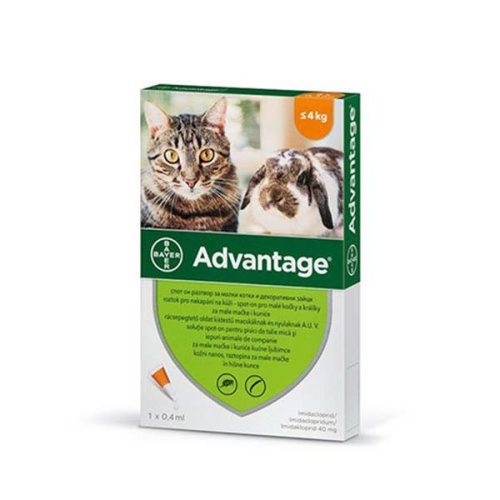 Advantage Spot On Rácsepegtető oldat macskáknak és nyulaknak 0-4kg (1 x 0,4ml)