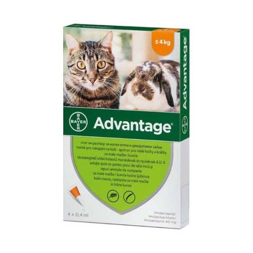 Advantage 40 rácsepegtető oldat kistestű macskáknak és nyulaknak (4 kg alatt)  A.U.V. (4db)