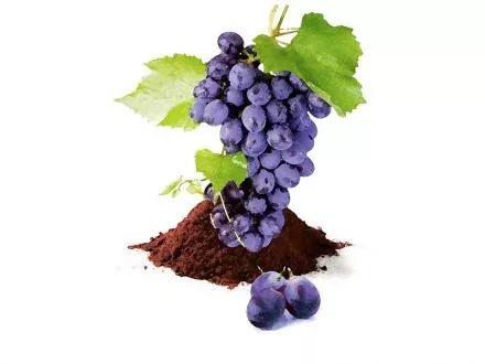 Natur Tanya VÖRÖS SZŐLŐHÉJ ŐRLEMÉNY (250g)