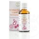 Bálint Cseppek Echinacea csepp propolisszal (50ml)