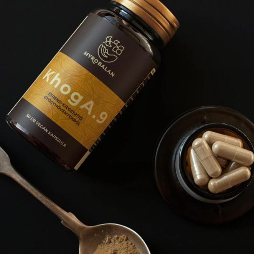 Myrobalan KhogA.9 gyomorégés, reflux elleni gyógynövény-komplex (60 db)