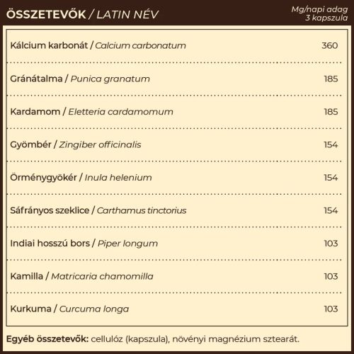 Myrobalan KhogA.9 gyomorégés, reflux elleni gyógynövény-komplex (60 db)