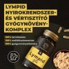 Myrobalan Lympid nyirokrendszer- és vértisztító gyógynövény-komplex kapszula (60 db)