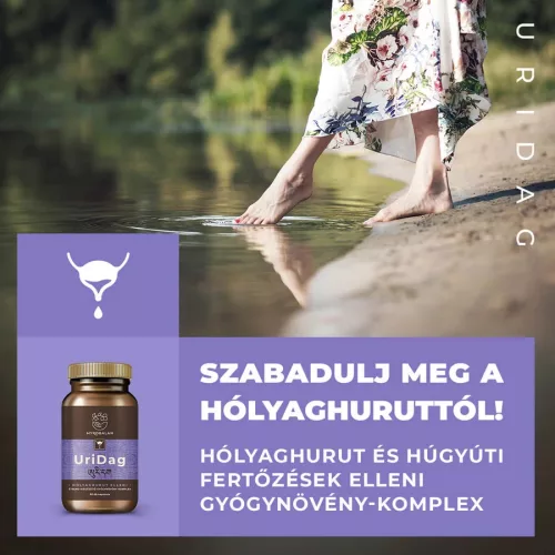 Myrobalan UriDag hólyaghurut és húgyúti fertőzések elleni gyógynövény-komplex kapszula (60 db)
