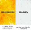 Vichy Dercos Korpásodás Elleni Sampon Utántöltő - száraz hajra (390 ml)