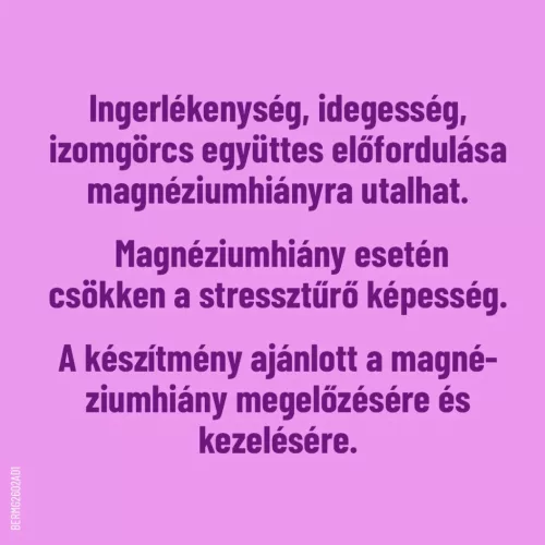 Béres Magnézium Biszglicinát + B6 (60db)