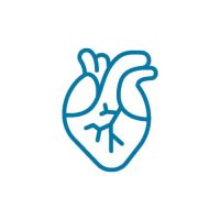 Szív- és érrendszeri