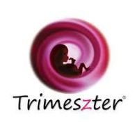 Trimeszter