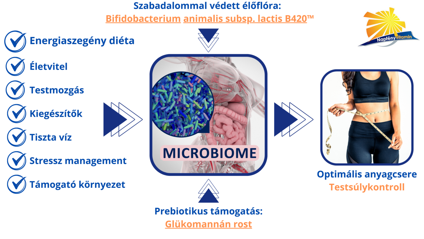 A Slimprobalance hatásmechanizmusa