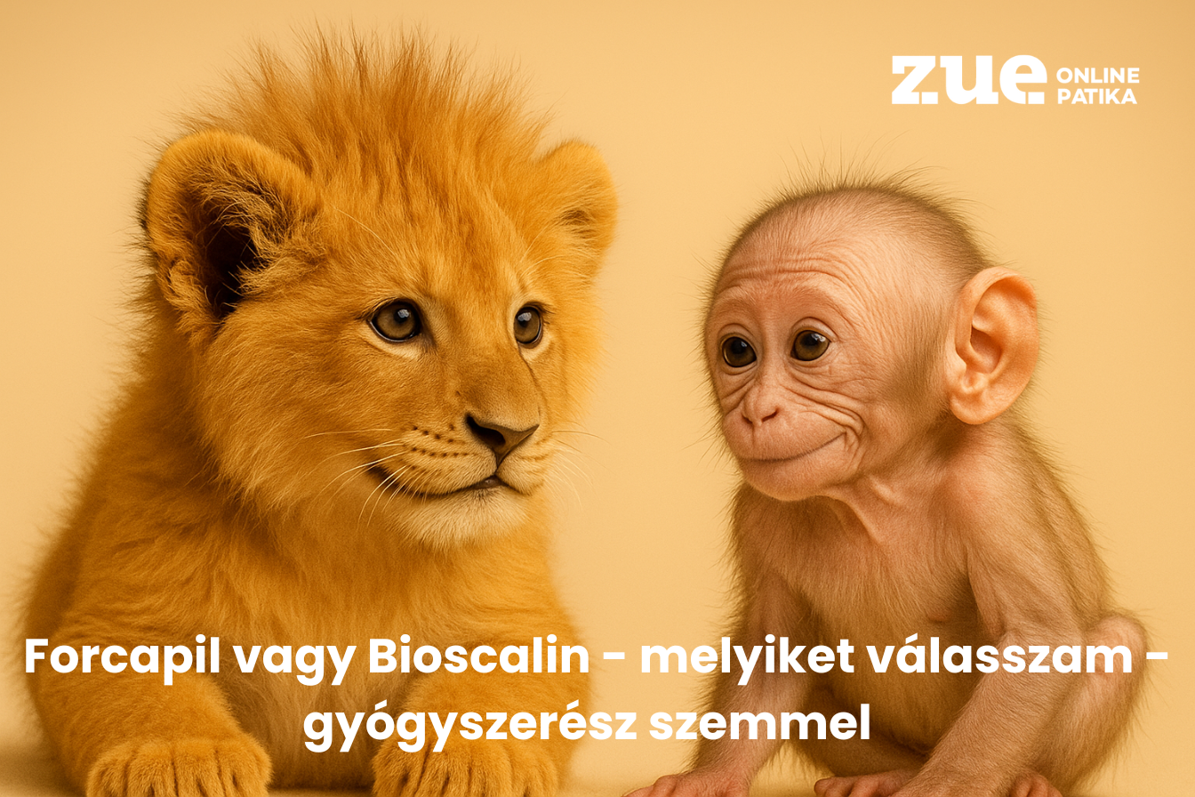 Bioscalin vagy Forcapil - Melyiket válasszam? Hajvitaminok gyógyszerész szemmel