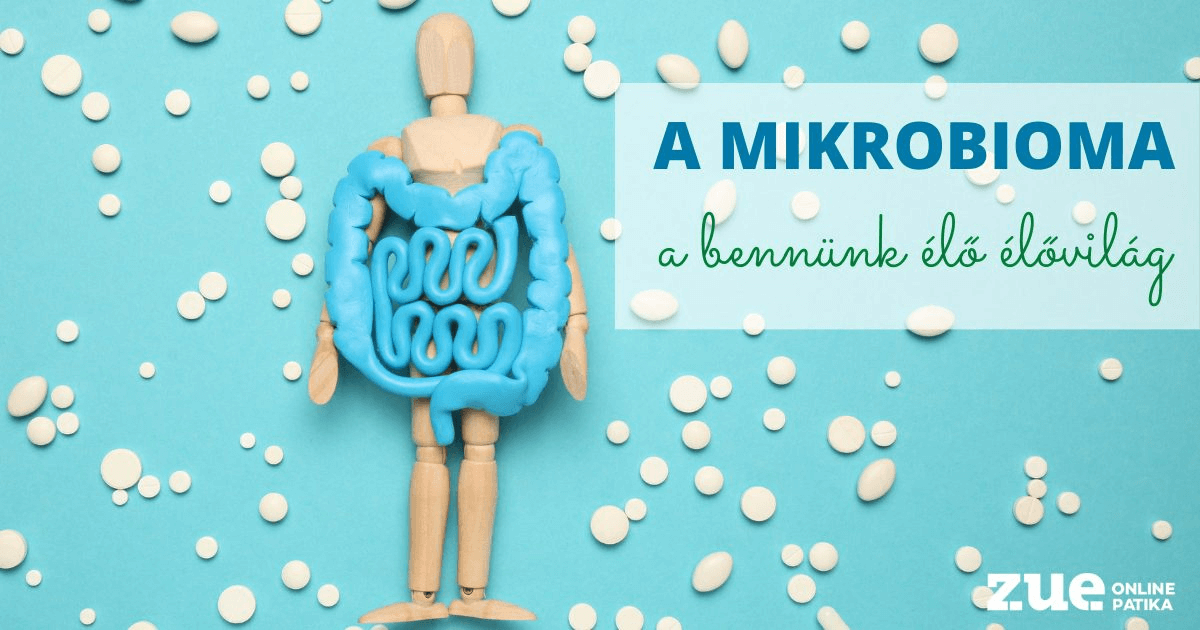 A mikrobioma – a bennünk élő élővilág