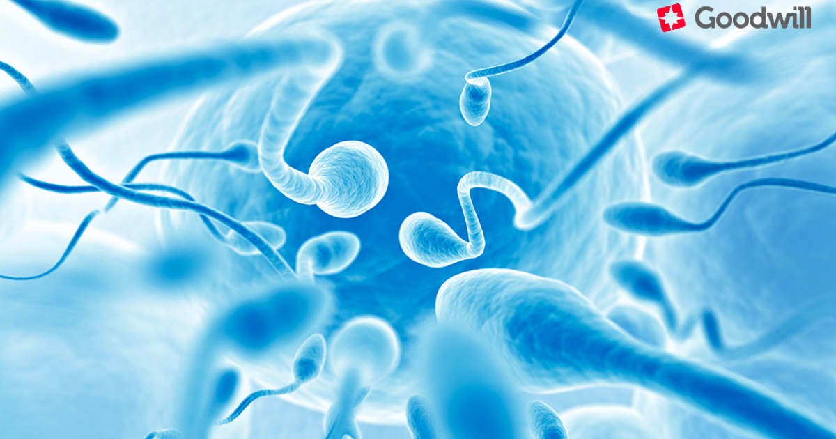 Újabb bizonyíték – a PROfertil® jelentősen csökkenti a spermium DNS-ének töredezettségét
