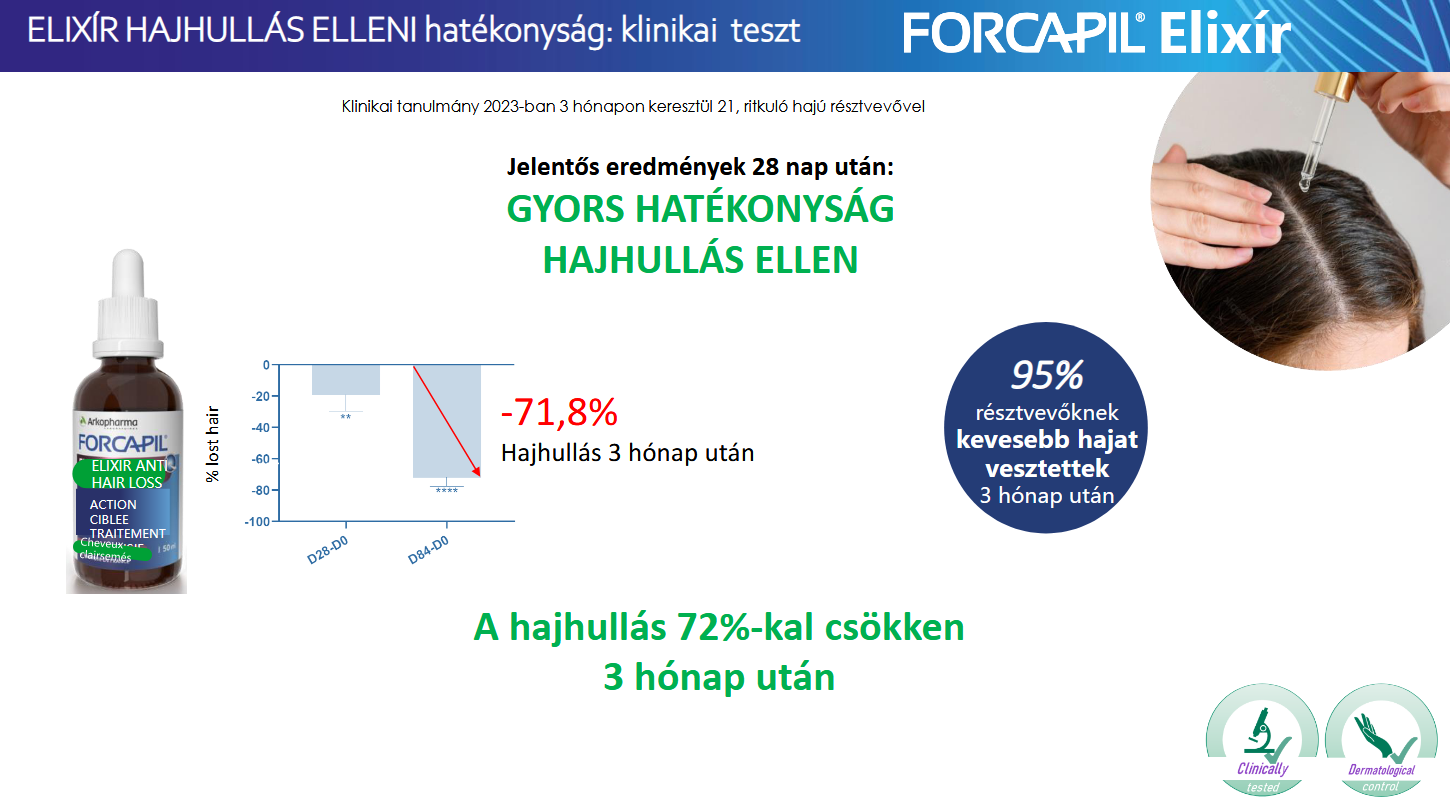 Forcapil tanulmány