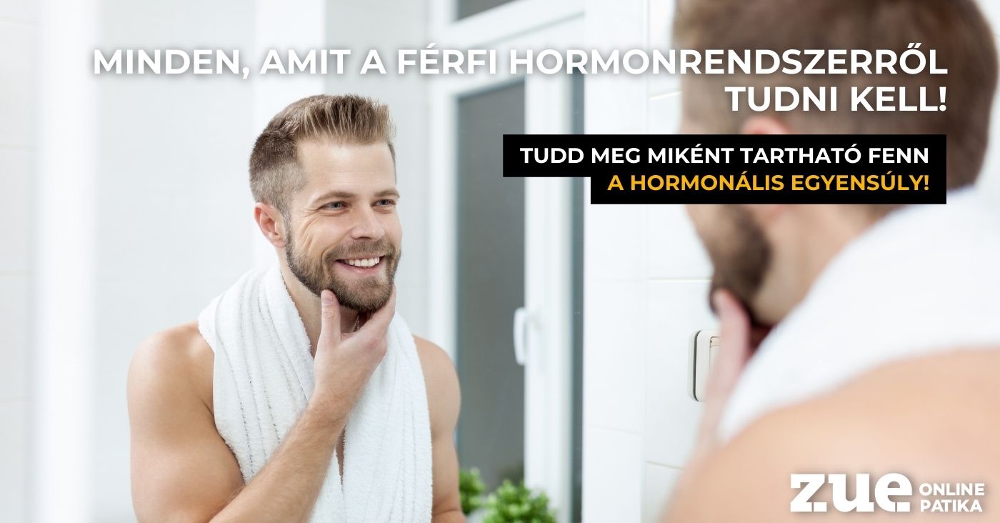 Minden, amit a férfi hormonrendszerről tudni kell!