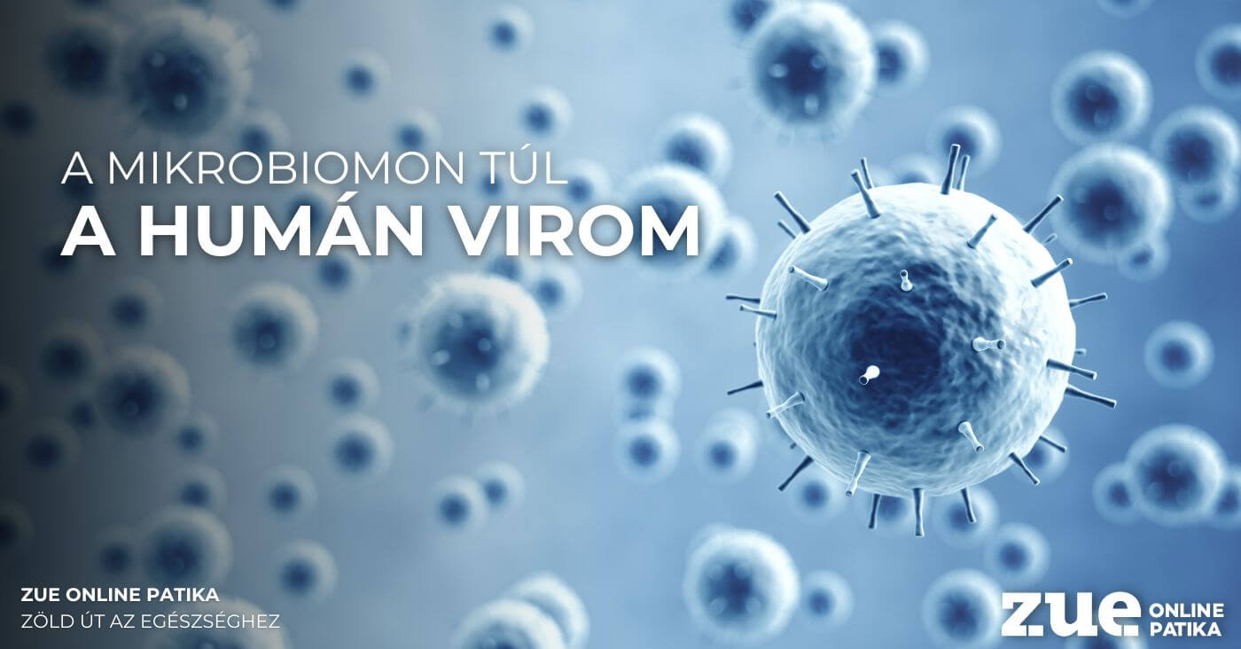 A mikrobiomon túl - A humán virom